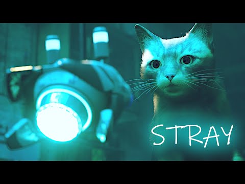 STRAY Gameplay | The Cat Adventure | Part 1