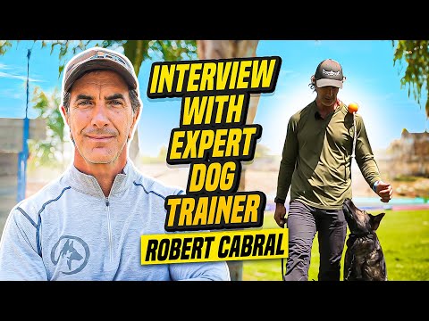 Expert Advise From Professional Dog Trainer Robert Cabral