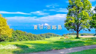 夏日淡路島之旅🧳～淡路島洋蔥牛肉漢堡🍔、兵庫縣立公園Awaji Hanasajiki🌻｜日本旅遊Vlog