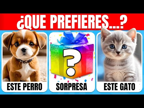 ¿Que Prefieres…? REGALO MISTERIOSO 🎁❓