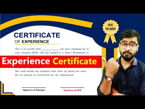 Experience Certificate Kaise Banaye | Experience Certificate Format in MS Word