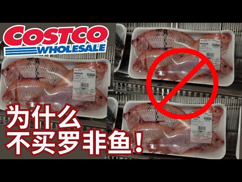 【Coscto购物，为什么不买罗非鱼？】罗非鱼来源， 喂养饲料，饲养环境，抗生素隐患。。。【EN/中文Sub】