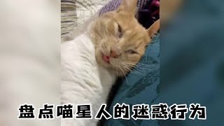 搞笑合集: 盘点喵星人的迷惑行为猫咪的迷惑行为 猫咪 萌宠 喵星人