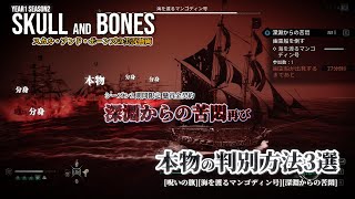 【スカル アンド ボーンズ Y1S2 / ゲーム実況】＃７５ ～深淵からの苦悶再び！本物との判別方法3選～｜呪いの旗、マンゴディン号