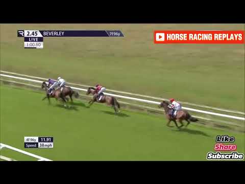 Lazy Griff / 2 Race Beverley 30 Jul 2024