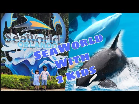 Sea World With 2 Kids | Things To Do | Rides for Kids