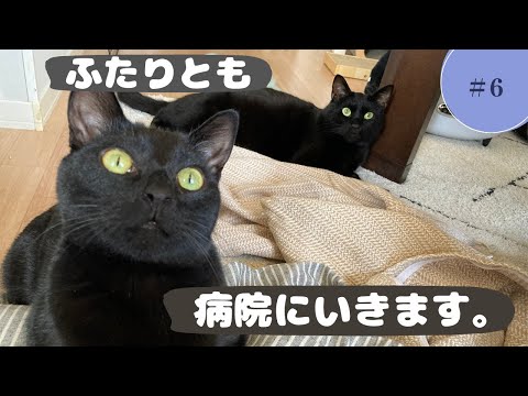 ふたりいっしょに病院に行きます。