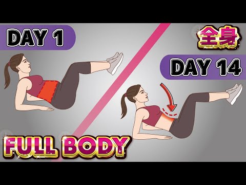 Slow Full Body Toning Workout | No Jumping, Knee friendly