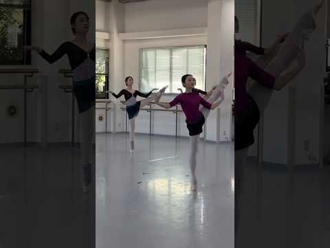 アラビアの踊り：プリンシパル山田佳歩/Kaho Yamada #ballet #dance #nbaバレエ団 #shorts