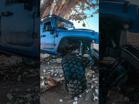 Mud-Terrain Tires | NOT 4 Winter