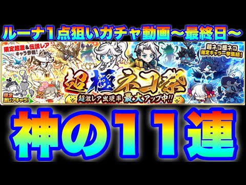 ルーナ狙い超極ネコ祭ガチャで起きた「神の11連」〜最終日〜　#にゃんこ大戦争