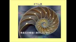 ５分でわかる「黄金比」　なーんだ、こういうことだったんだ