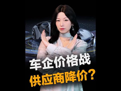 汽车价格战还来？供应商降价10%？#车星计划 #王大沁