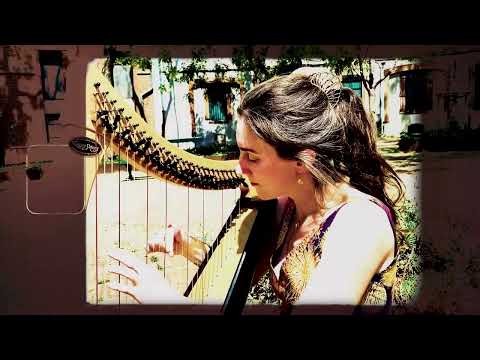 Carolan's Concerto - Celtic Lever Harp solo