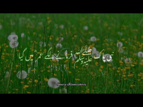 Nabi Paak 'ﷺ' Umar (R.A) Se Farmane Lage 🥀 | Islamic WhatsApp Status |