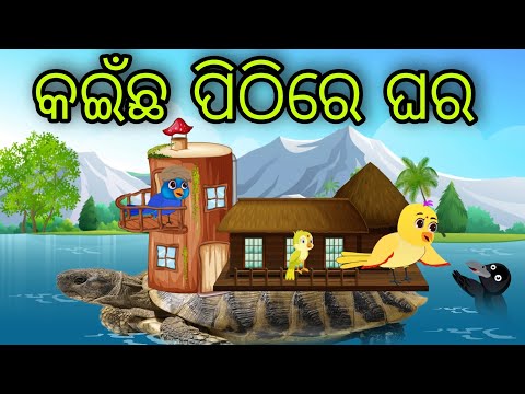 କଇଁଛ ପିଠିରେ ଘର | Kainchha Pithire Ghara | Tiki Chadhei Gapa | Odia Chadhei Gapa | New Story