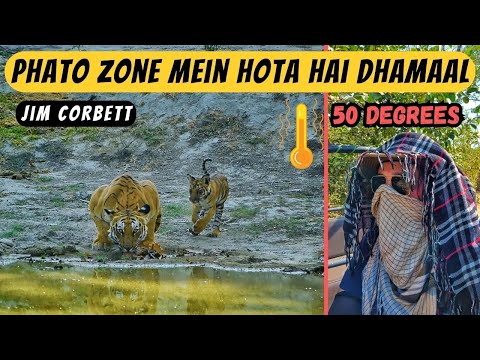 Bhayankar Garmi mein 3 Ghante Wait kiya Tiger and Cub ka | Phato Zone | Jim Corbett