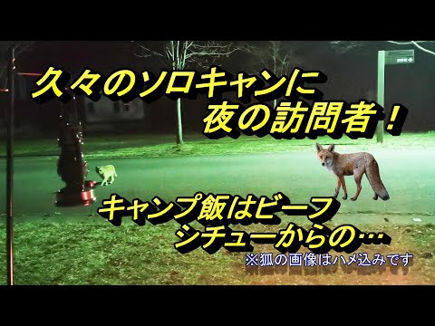 久々のソロキャンに夜の訪問者！キャンプ飯はビーフシチューからの…【おだいばオートビレッジ】