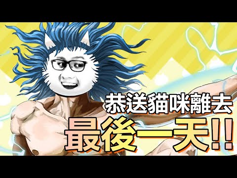 【神魔之塔】貓戰要結束了 恭送貓咪離去!! 請神~  | 鳥鳥 🐦