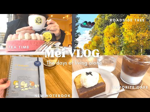 【vlog】アラフォーOL自分のペースで毎日を楽しむ🍁🍂☕️|新しいパンプス購入🥿|久しぶりの再会in Kobe