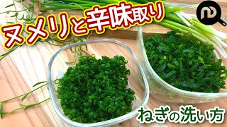 ネギの洗い方水にさらしてヌメリと辛味をとる　N.D.Kitchen Basic