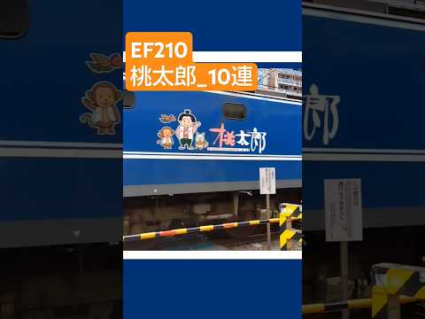 [EF210] 桃太郎_10連 〜全部MOMOTARO〜 #shorts sh#桃太郎 #ef210 #貨物列車 #train