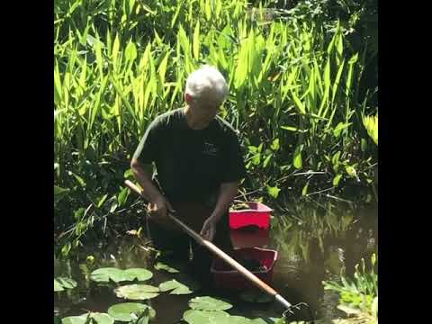 Tending a garden - a labor of love