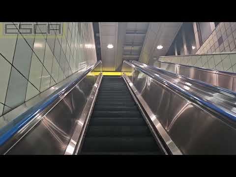 Rinkai Line Shinagawa Seaside Station Escalator Toshiba Exit A going up