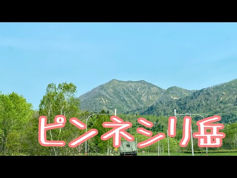 中頓別 敏音知岳(ピンネシリ岳) 【北海道登山ガイド】夏山 道北 登山