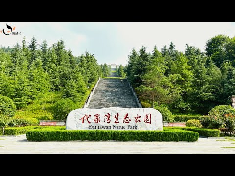 Climb 1179 stone steps to enjoy the majestic scenery of Daijiawan Ecological Park in Baoji China