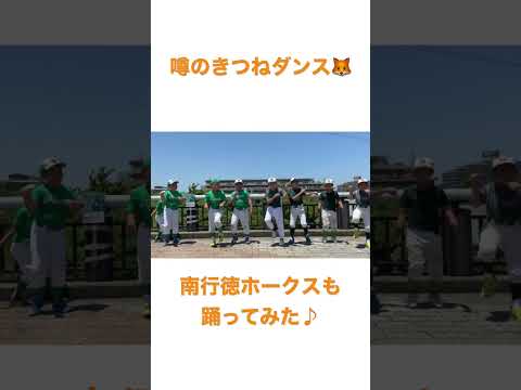 【噂のきつねダンス】僕たちも踊りたい【少年野球チーム】