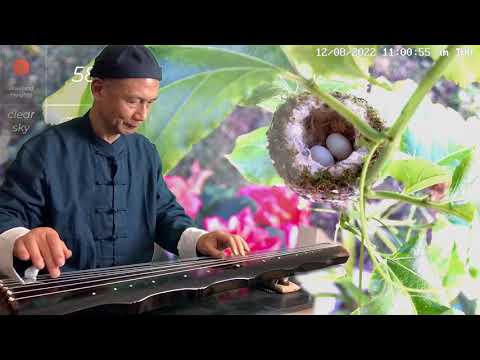 Henry's Guqin Practice:  Leaves Dancing in the Autumn Wind 梧叶舞秋风 part 1-2