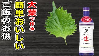 大葉の簡単レシピ【大葉醤油漬け】調味料に漬け込むだけ♪ご飯が止まらない絶品おかずの作り方