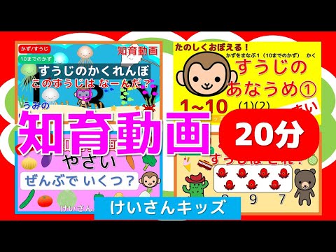 【知育動画まとめ ６】赤ちゃん・幼児・こども向け知育アニメ【20分】はじめて学ぶすうじ・かず・かぞえる・すうじのかくれんぼ・すうじのあなうめ・ぜんぶでいくつ？・おなじかずのすうじはどれ？　おススメ動画