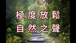 極度放鬆 自然之聲   睡眠音樂, 放鬆音樂, 瑜珈,冥想,療癒, 鋼琴音樂,水晶音樂,純音樂 Relax Music, Relaxing, Spa, BGM