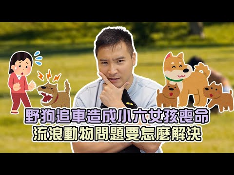 【谷阿莫】1.9萬隻流浪動物要去哪，政府說花1.5億蓋園區但只能收容800隻 / 陳情案