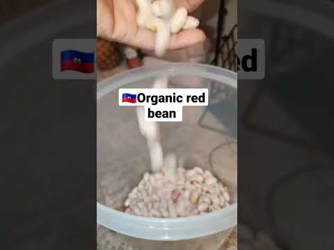 peeled beans #satisfyingvideo #peeling #organicfarming #dinnerideas #asmrfood #mukbang #saladrecipe