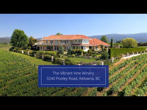 For Sale | The Vibrant Vine Winery, BC