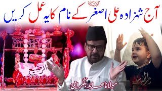 Shahzada Ali Asghar A.s Ka Amal | Maulana Abid Bilgrami 2023