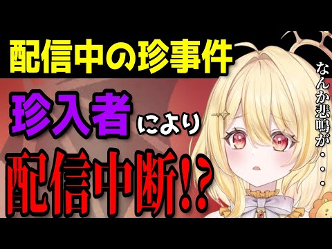 【切り抜き】配信中にとんでもない珍事件が発生！日向家総出でクエストに挑む【ななしいんく切り抜き／vtuber切り抜き】