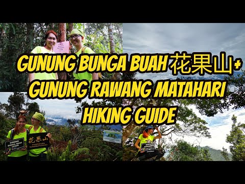 Gunung Bunga Buah 花果山 Gunung Rawang Matahari Hiking Guide