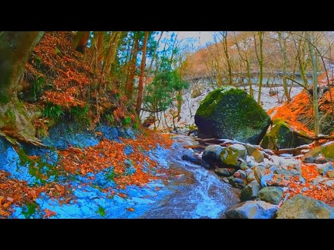 【3h】Relaxing Autumn Leaves and Tranquil River Sounds in Japan’s Nature | Fall Ambience Relaxation