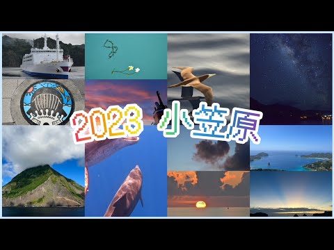 2023年の小笠原をまとめてみた　～Ogasawara islands～