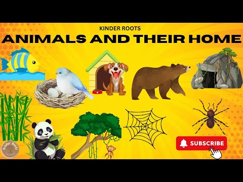 Animals And Their Homes | Learn Where Animals Live | Educational Video for Kids! | Kinder Roots