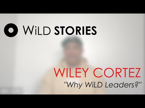 Why WiLD Leaders? Wiley's WiLD Story