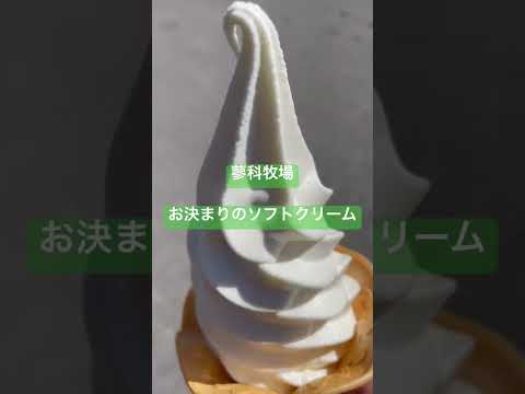 寒くても、ソロツーリングにはお決まりのソフトクリーム🍨