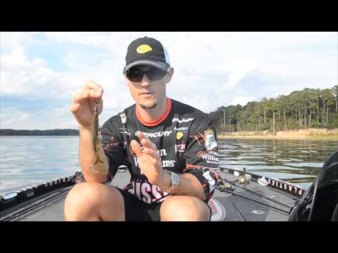 John Crews Introduces the Missle Baits Destroyer