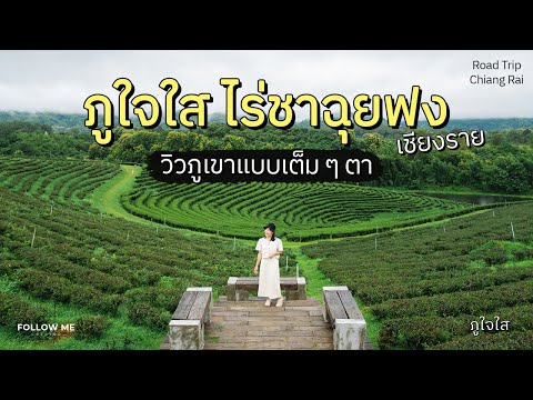 เที่ยวเชียงราย 3/4 | ไร่ชาฉุยฟง ภูใจใส ที่พักวิวภูเขาแบบพาโนราม่า | FOLLOW ME เที่ยวไทย