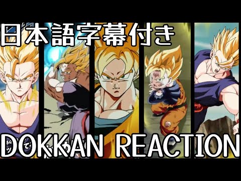 ドッカンバトル 夏の大型 第2弾 先行公開 LR 悟飯 リアクション Dokkan New LR Gohan REACTION