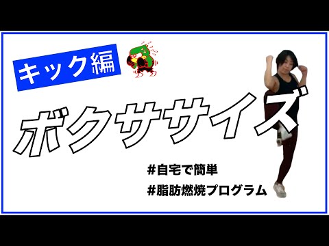 【ボクササイズ】下半身の集中脂肪燃焼プログラム🔥〜キック編〜